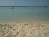 2013-06-19 09.48.25.jpg