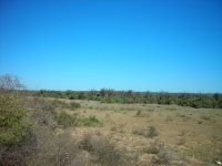 DSCN0220.JPG