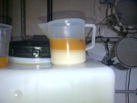 IMG-20131020-00206.jpg