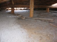 IMG_1614.JPG