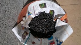 Biochar da pellet.jpg