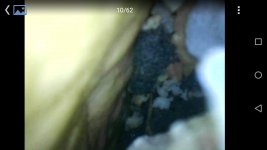 IMG-20180619-WA0007.jpg IMG-20180619-WA0007.jpg