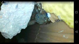 IMG-20180620-WA0011.jpg IMG-20180620-WA0011.jpg