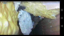 IMG-20180620-WA0009.jpg IMG-20180620-WA0009.jpg