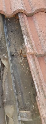IMG-20171118-WA0005_2.jpg