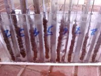 IMG_20170407_090717.jpg