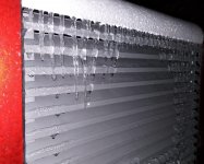 20201204_065132.jpg