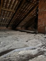IMG_20220704_152118.jpg