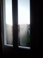 IMG_20251103_065543.jpg