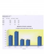 Grafico 4 anni FTV.jpg