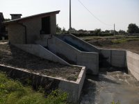 Coclea RitzAtro 025.jpg Coclea RitzAtro 025.jpg