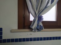 IMG_20221128_104755.jpg