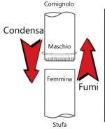 Fumi.jpg