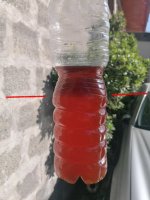 biodiesel.jpg